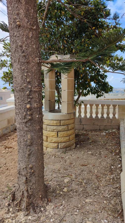Stunning Villa With Pool, Table Tennis, Table Soccer And A Pool Table ناسار المظهر الخارجي الصورة