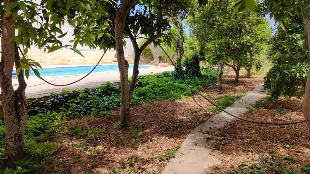 Stunning Villa With Pool, Table Tennis, Table Soccer And A Pool Table ناسار المظهر الخارجي الصورة