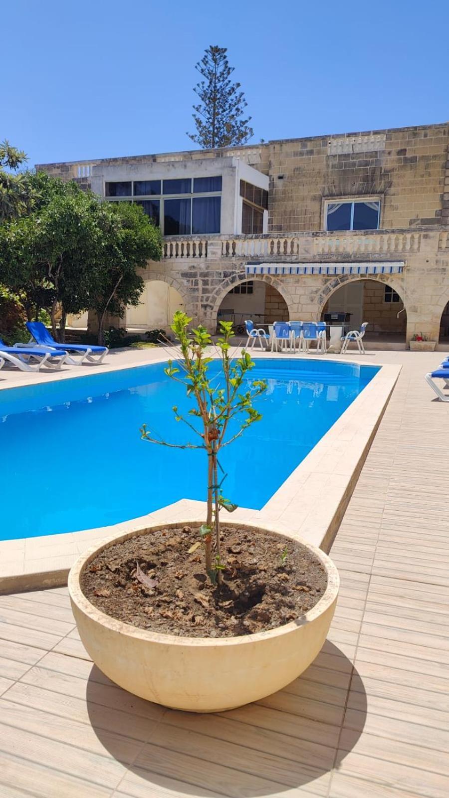 Stunning Villa With Pool, Table Tennis, Table Soccer And A Pool Table ناسار المظهر الخارجي الصورة